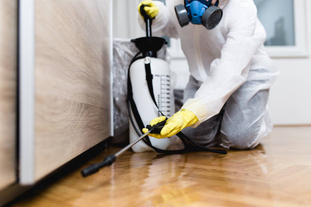 Reliable Pine Manor, FL Pest Control Solutions