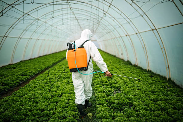 Best Pest Inspection Near Me  in Pine Manor, FL