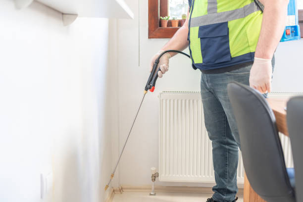 Best Mosquito Control Services  in Pine Manor, FL