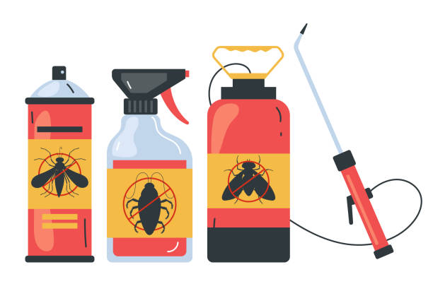 Professional Pest Control in Pine Manor, FL