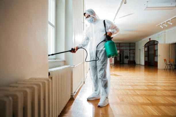 Best Bed Bug Extermination  in Pine Manor, FL